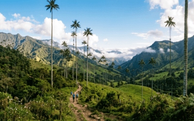 Valle del Cocora: el hogar de las palmas más imponentes de Colombia
